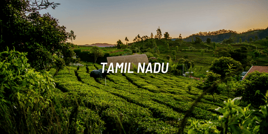 Places to ride in  Tamil Nadu - NAC 