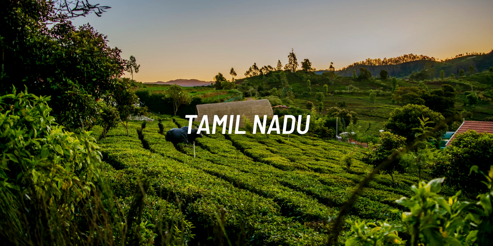 Places to ride in  Tamil Nadu