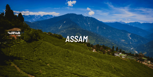 Places to ride in Assam - NAC 
