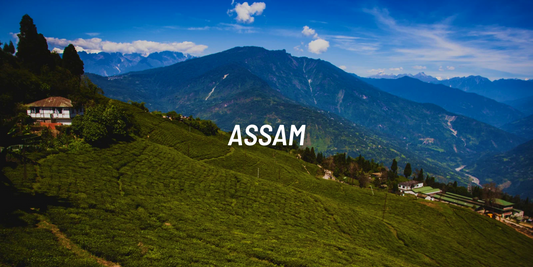 Places to ride in Assam