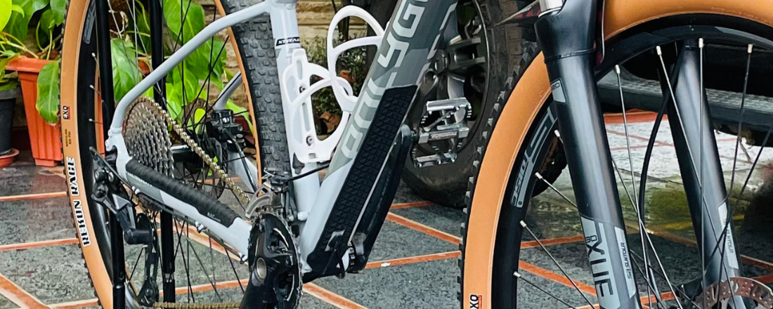 How a downtube protector can save your bike