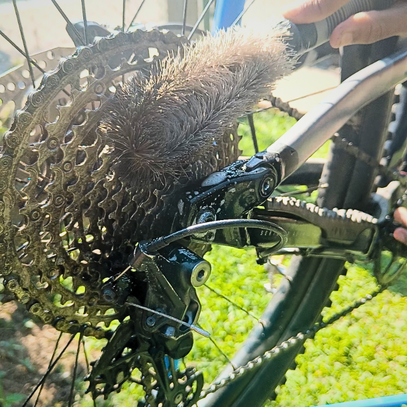 Drivetrain cleaning brush for cycle chains