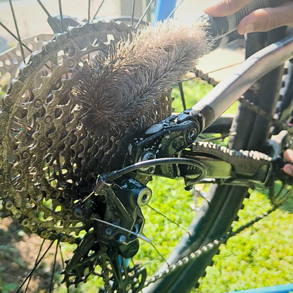 Drivetrain cleaning brush for cycle chains