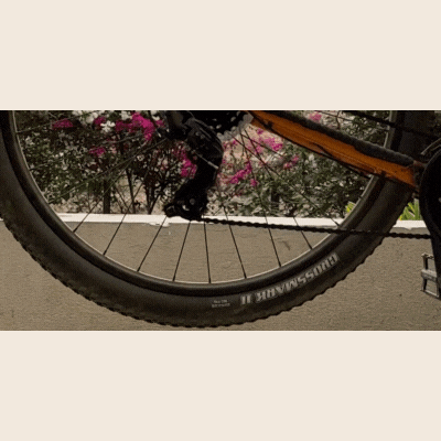 Mountain Bike Chainstay Protector 