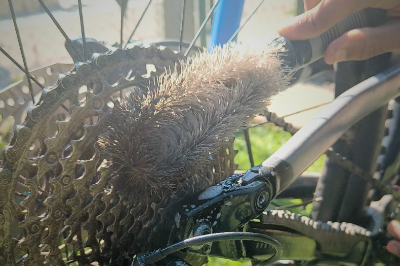 brush for cleaning cycle chain and drivetrain by NAC