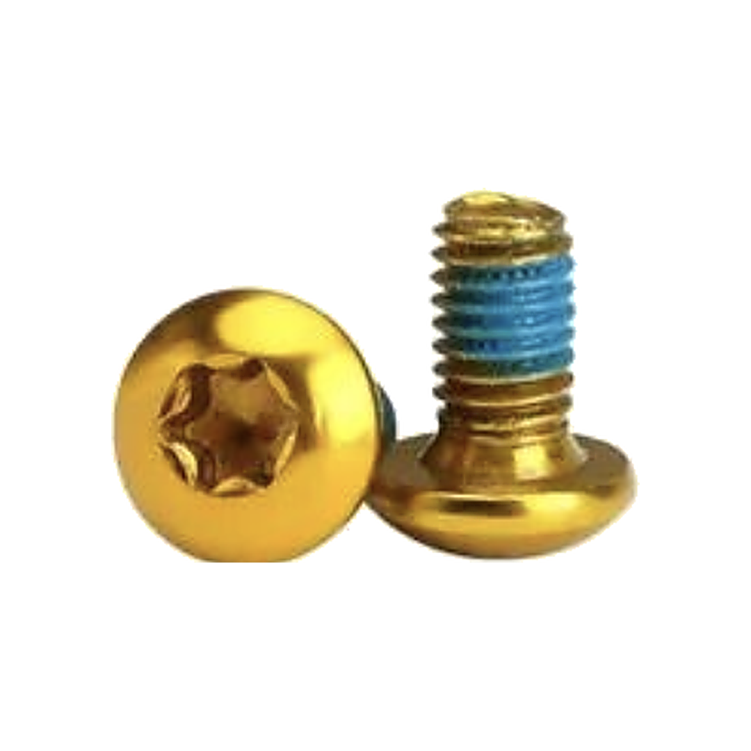 Gold NAC Chroma 12 T25 disc brake rotor bolt, M5 button head